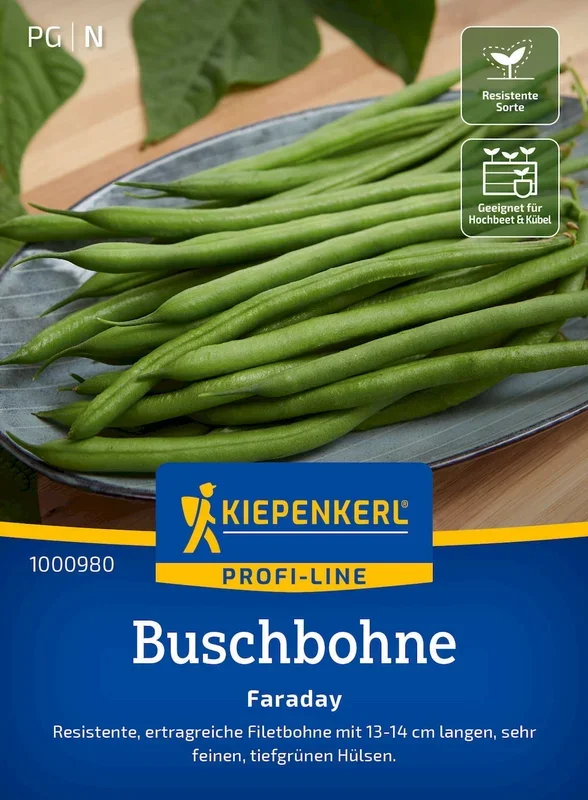 Kiepenkerl Buschbohne Faraday