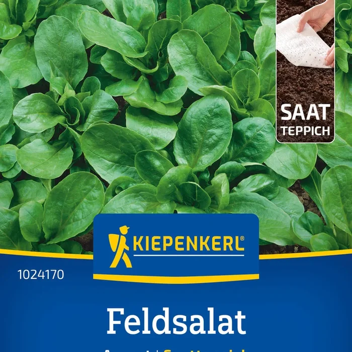 Kiepenkerl Feldsalat Accent Saatteppich