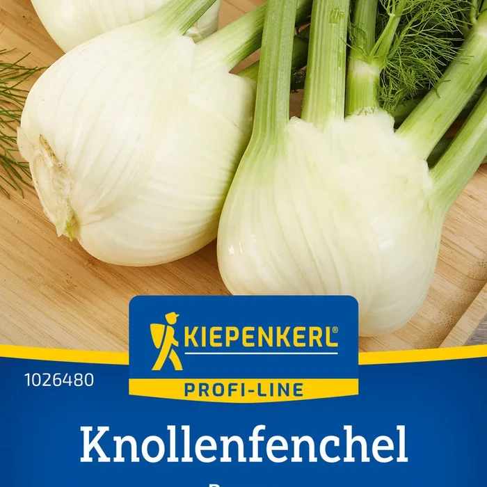 Kiepenkerl Knollenfenchel Dragon