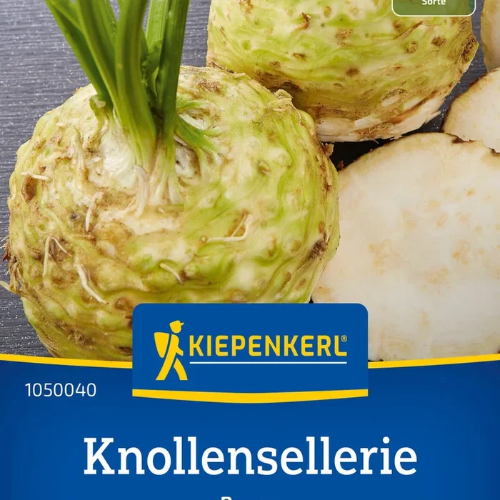 Kiepenkerl Knollensellerie Bruno
