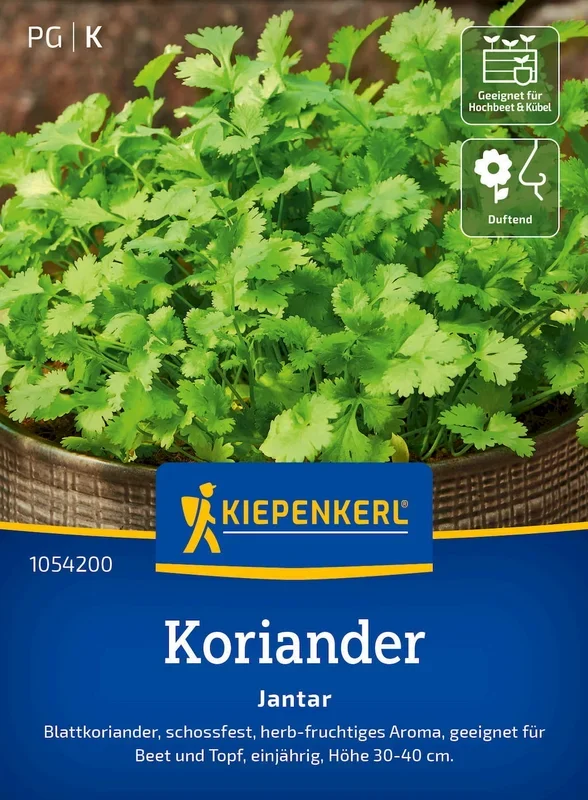 Kiepenkerl Koriander Jantar