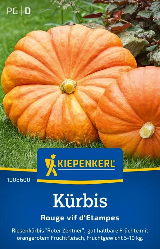 Kiepenkerl Kürbis Rouge vif d’Etampes