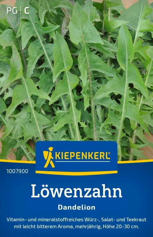 Kiepenkerl Löwenzahn Dandelion