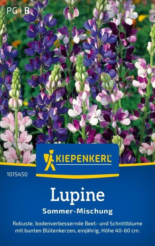 Kiepenkerl Lupinen Sommer Mischung
