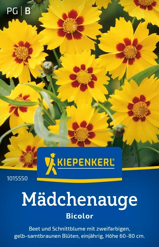 Kiepenkerl Mädchenauge „Bicolor“