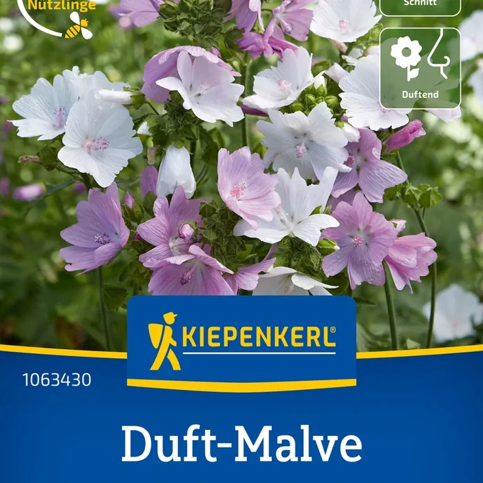 Kiepenkerl Malven Moschus Mischung