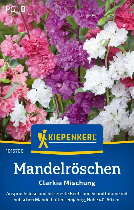 Kiepenkerl Mandelröschen „Clarkia Mischung“