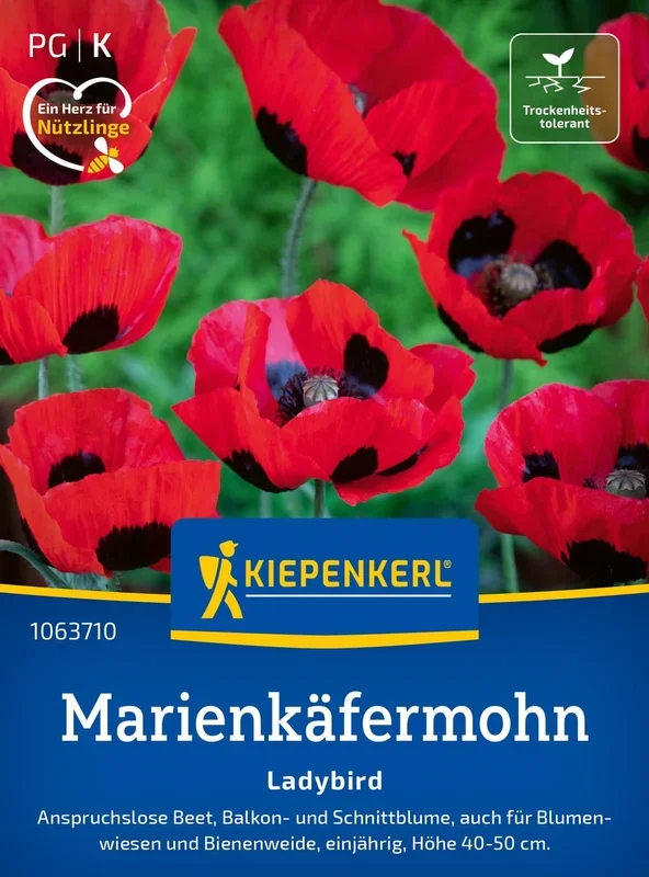 Kiepenkerl Marienkäfermohn Ladybird