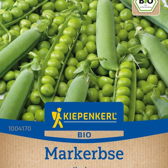 Kiepenkerl Markerbsen Karina