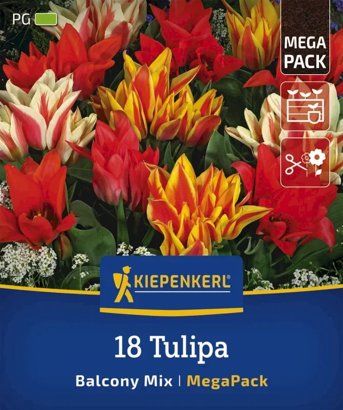 Kiepenkerl Mega-Pack Botanischer Tulpen Balkonzauber Mix, 18 Stück
