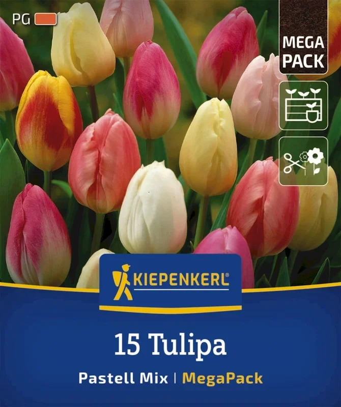 Kiepenkerl Mega-Pack Triumph-Tulpen Pastell-Mix, 15 Stück