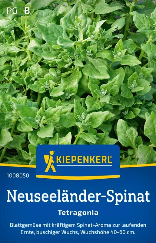 Kiepenkerl Neuseeländer-Spinat Tetragonia