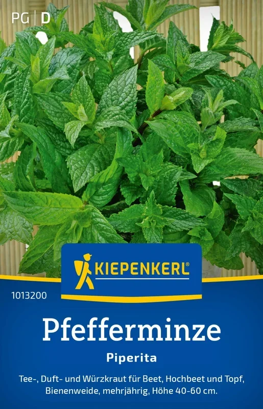 Kiepenkerl Pfefferminze Piperita