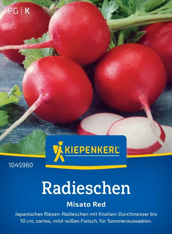 Kiepenkerl Radieschen Misato Red