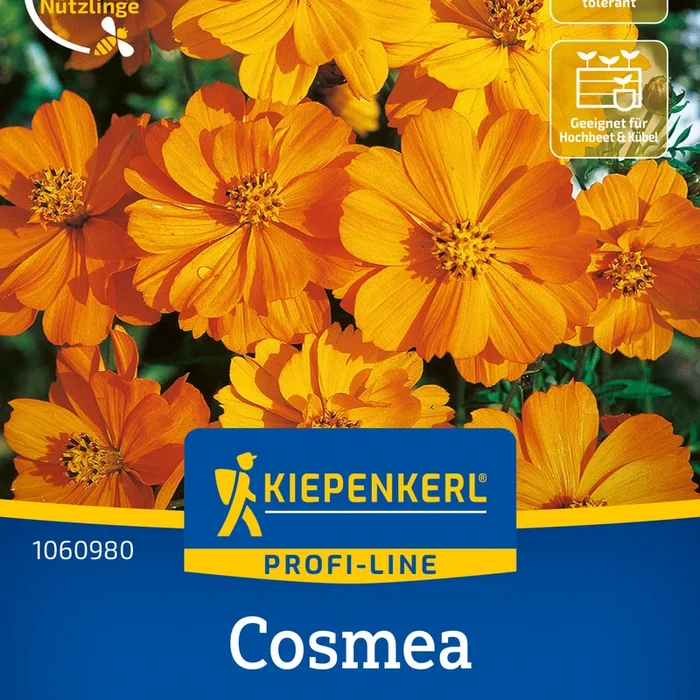 Kiepenkerl Schmuckkörbchen Mandarin