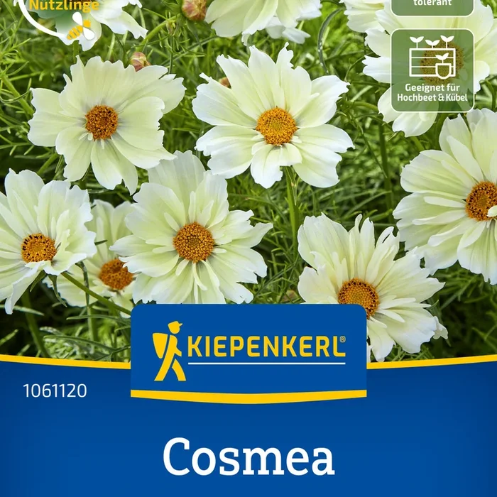 Kiepenkerl Schmuckkörbchen Xanthos