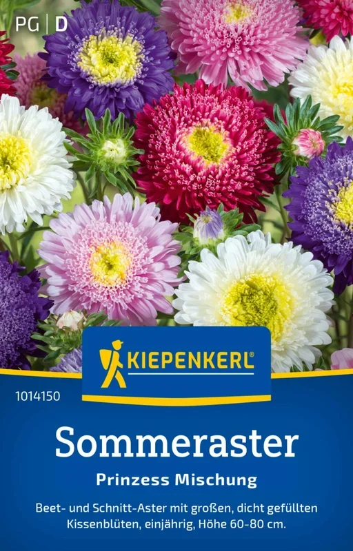 Kiepenkerl Sommeraster „Prinzess Mischung“