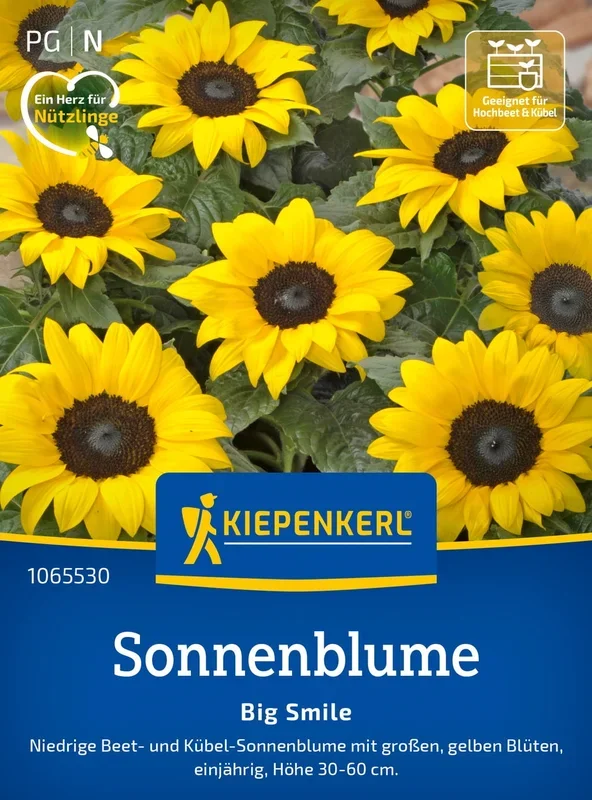 Kiepenkerl Sonnenblume „Big Smile“