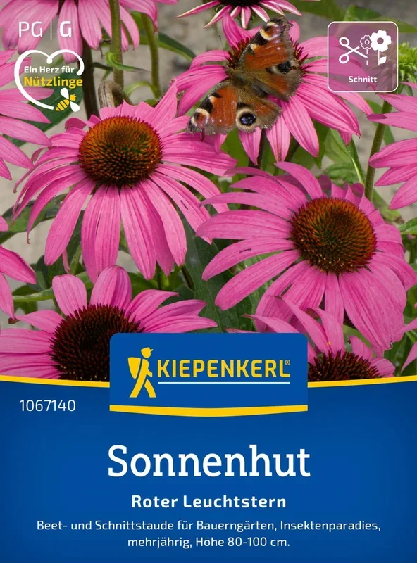 Kiepenkerl Sonnenhut Roter Leuchtstern