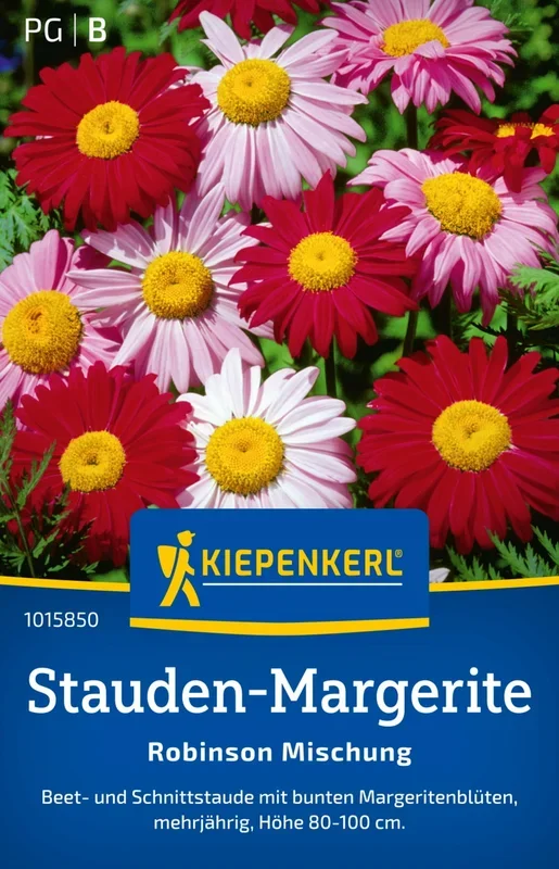 Kiepenkerl Stauden-Margerite Robinson Mischung