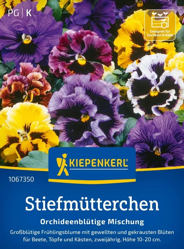 Kiepenkerl Stiefmütterchen „Orchideenblütige Mischung“
