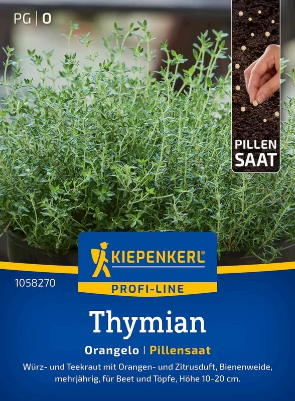 Kiepenkerl Thymian Orangelo, Pillensaat