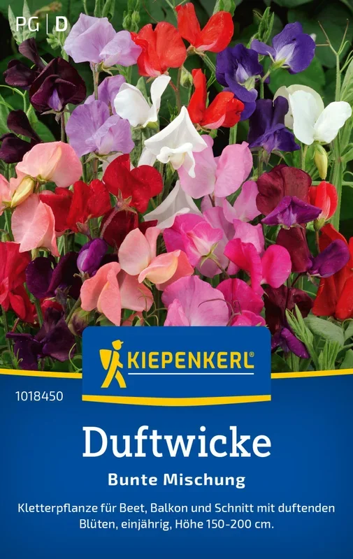 Kiepenkerl Wicken Bunte Mischung