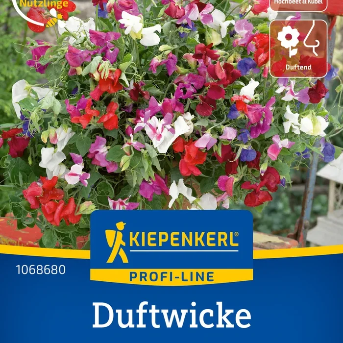 Kiepenkerl Wicken Laura