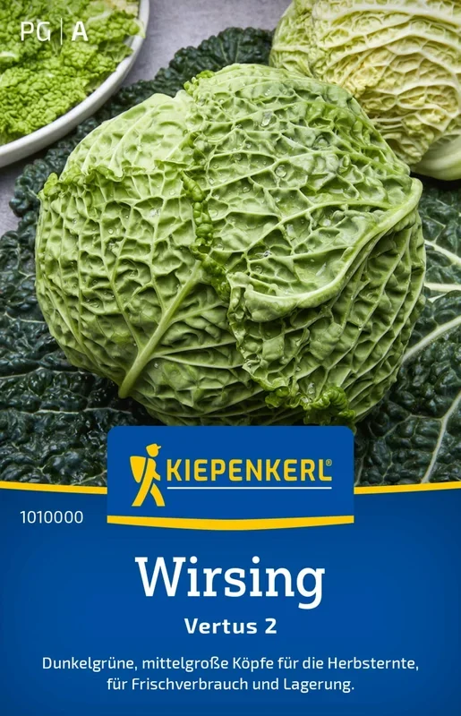 Kiepenkerl Wirsing „Vertus 2“
