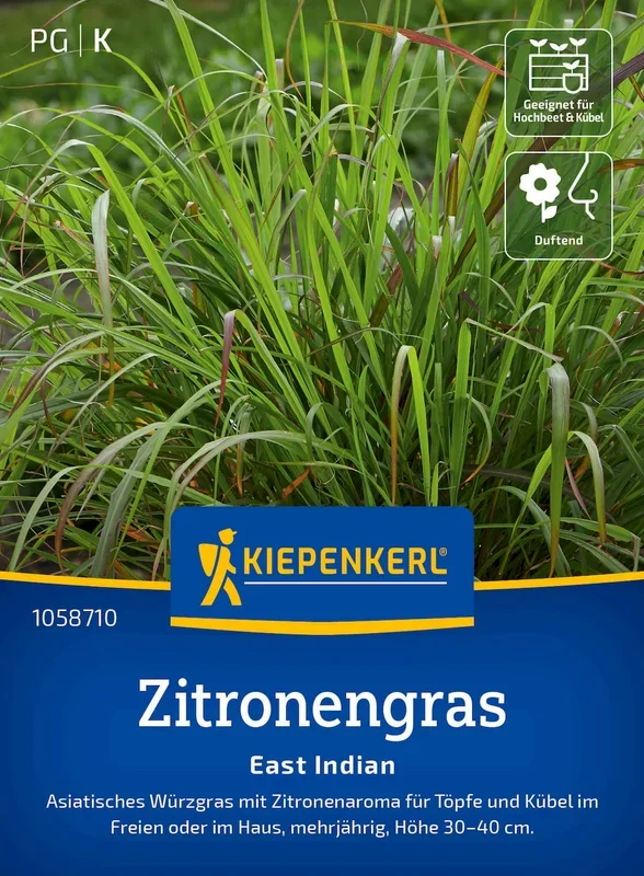 Kiepenkerl Zitronengras East Indian