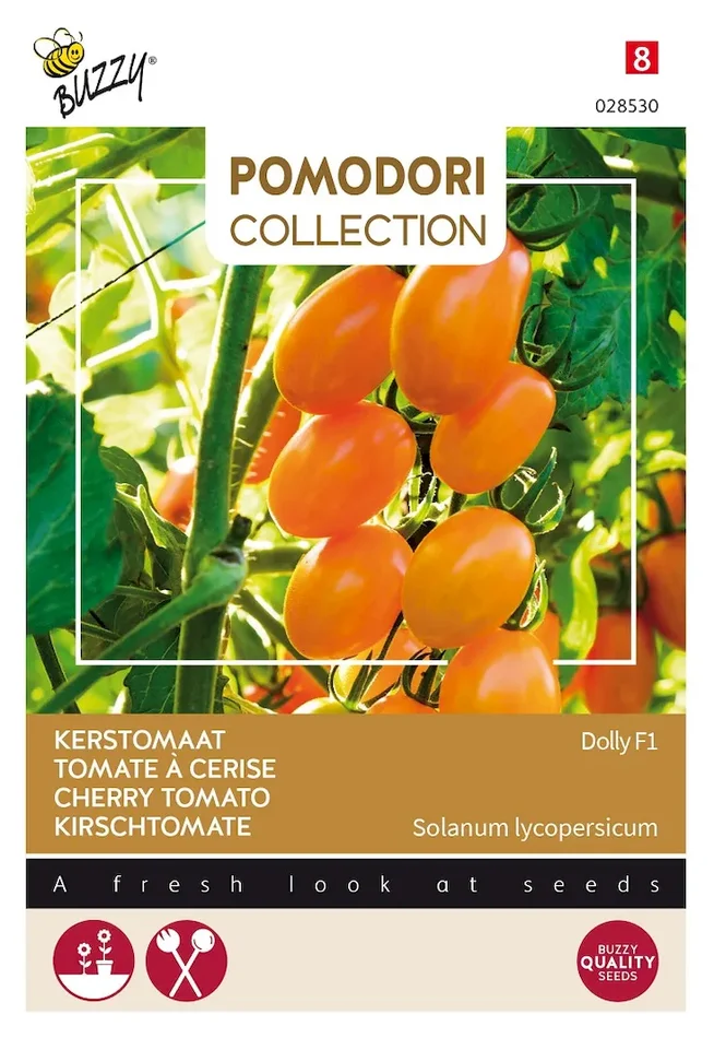 Kirschtomatesamen Dolly F1