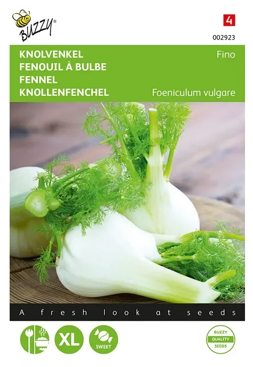 Knollenfenchel Samen Fino
