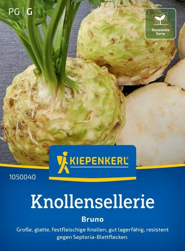Knollensellerie Bruno, festfleischige, große Knollen – gut lagefähig – resistent