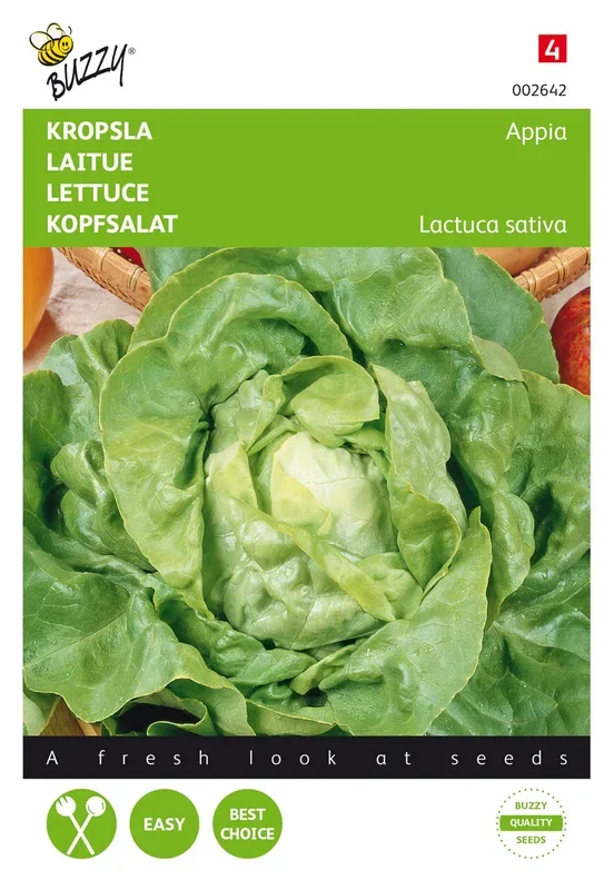 Kopfsalat Appia [MHD 07/2024]