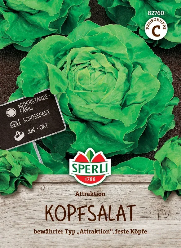 Kopfsalat Attractie [MHD 01/2024]