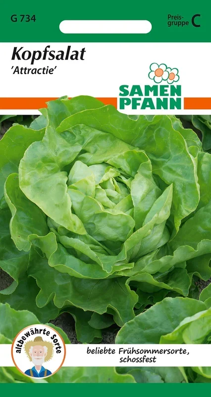 Kopfsalat Attractie [MHD 01/2025]