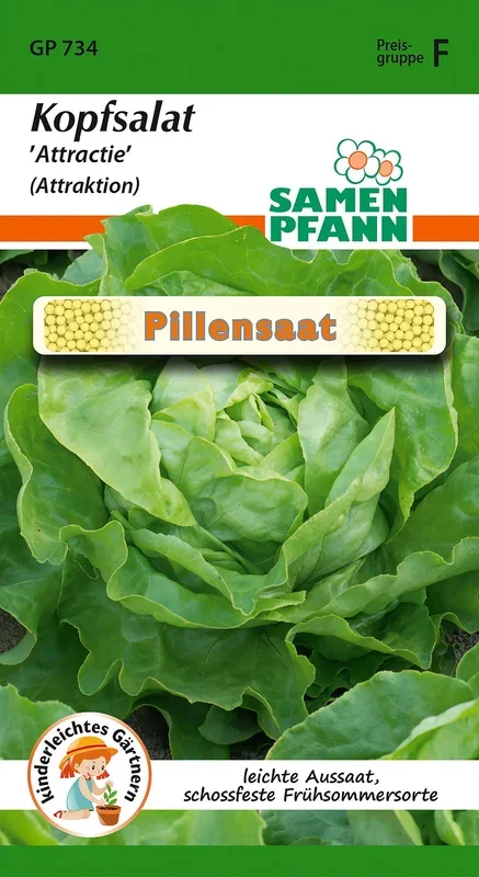 Kopfsalat Attractie (Pillenssat) [MHD 01/2023]