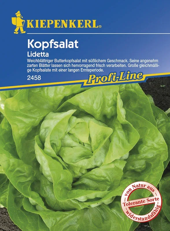 Kopfsalat Lidetta [MHD 01/2025]