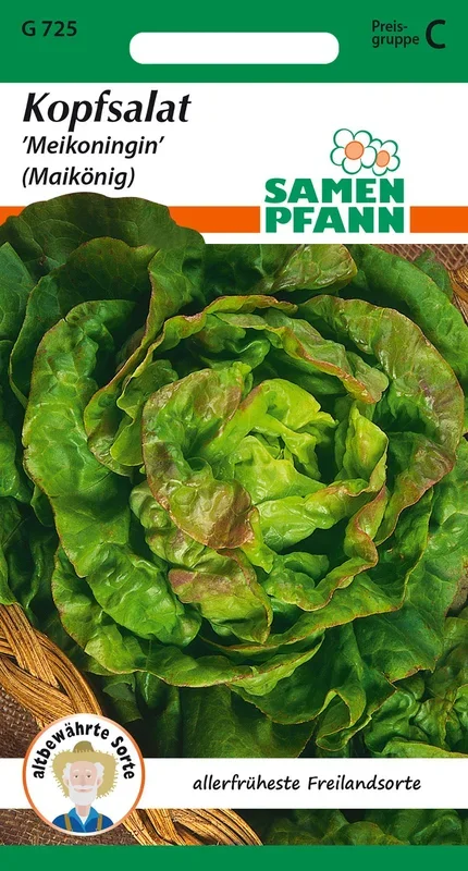 Kopfsalat Maikönig [MHD 01/2024]
