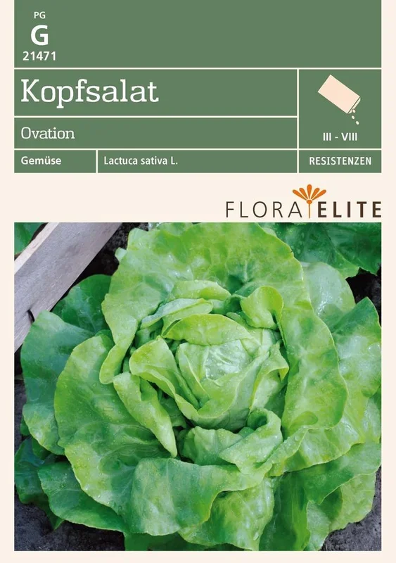 Kopfsalat Ovation [MHD 06/2021]