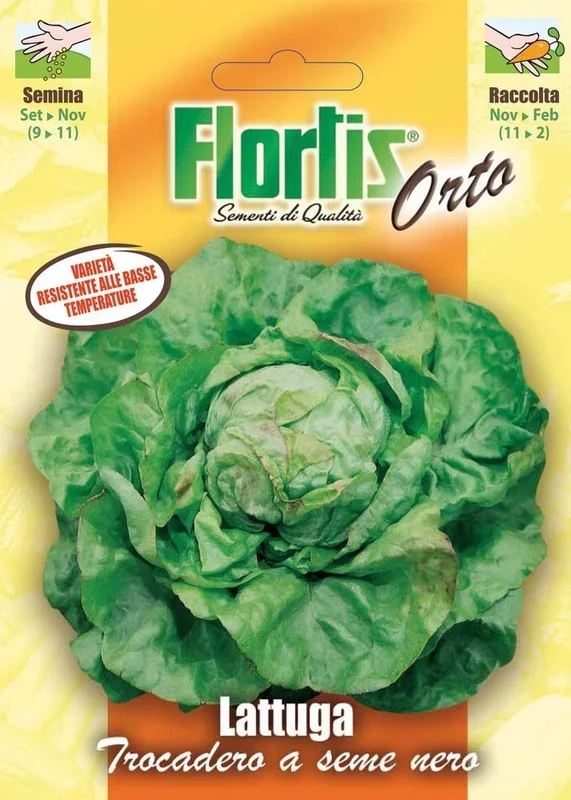 Kopfsalat Trocadero [MHD 12/2025]