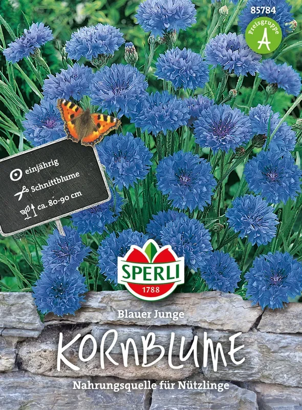 Kornblume ‚Blauer Junge‘