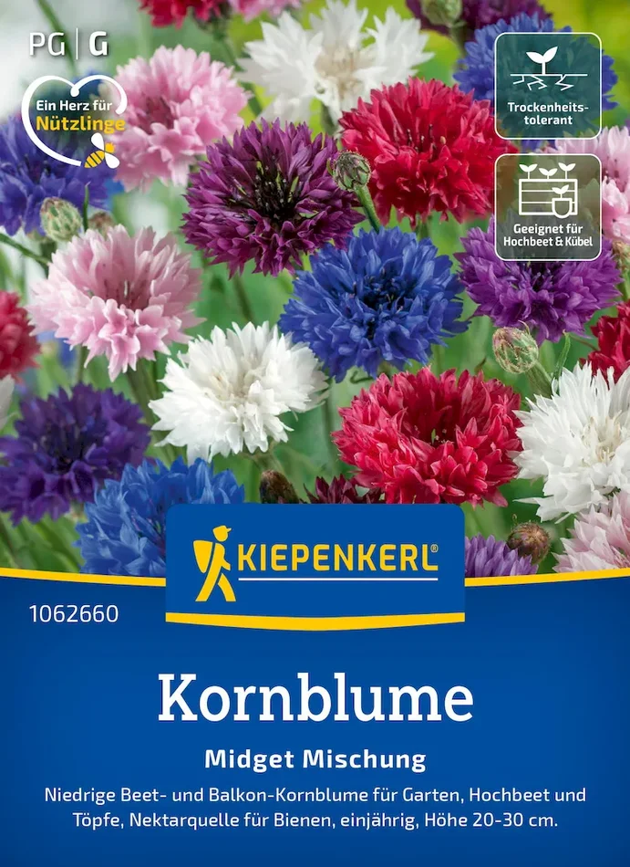 Kornblumensamen Midget Mischung
