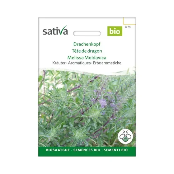 Kräuter Drachenkopf Biosamen kr74
