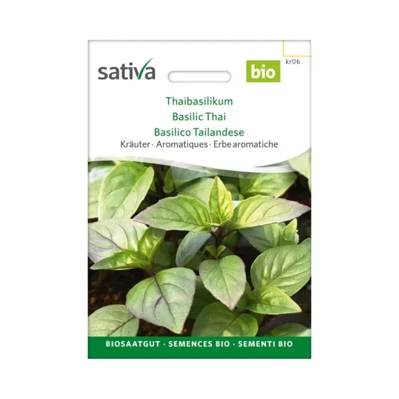 Kräuter Thaibasilikum Biosamen kr06