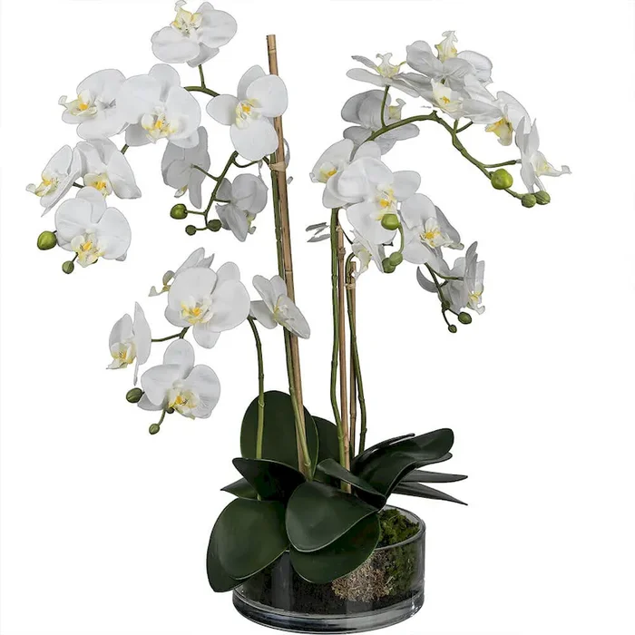 Kunstblume Orchidee in stilvoller Glasschale Bestellnummer 8000735