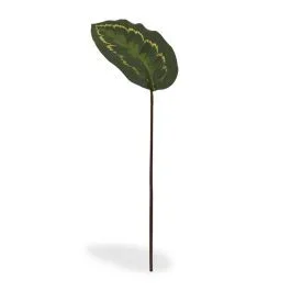 Künstliche Roseopicta Zweig 50 cm