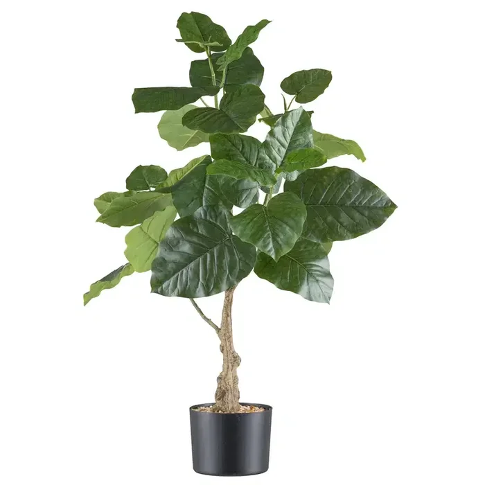 Künstliche Steinfeige ‚Ficus petioralis‘, Höhe ca. 85 cm