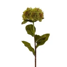 Künstlicher Sedum Zweig 50 cm grün