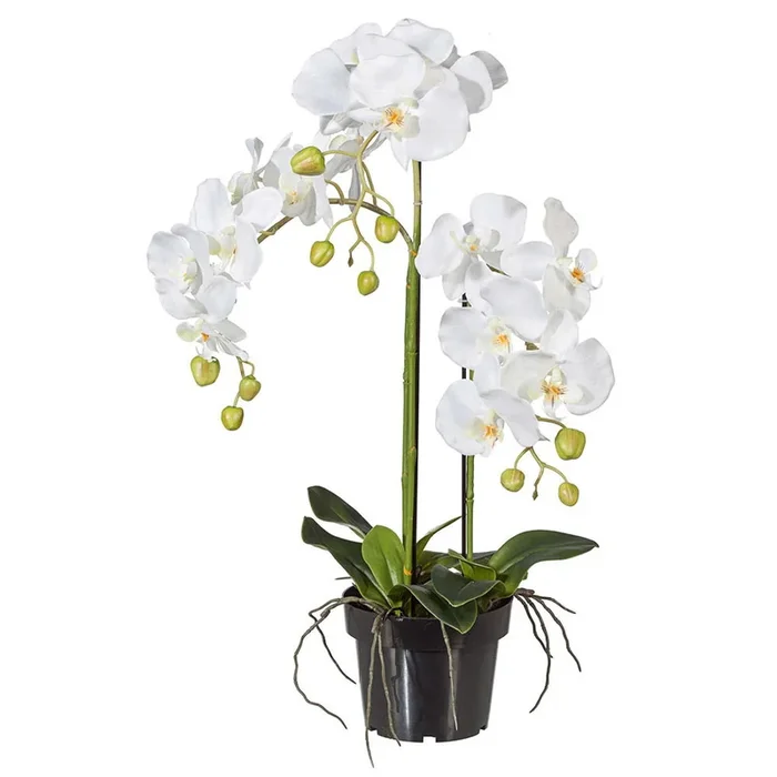 Kunstpflanze Orchidee Phalaenopsis, weiß, Höhe ca. 62 cm